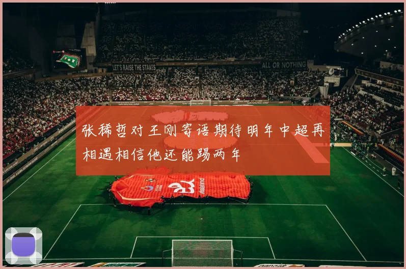 张稀哲对王刚寄语期待明年中超再相遇相信他还能踢两年